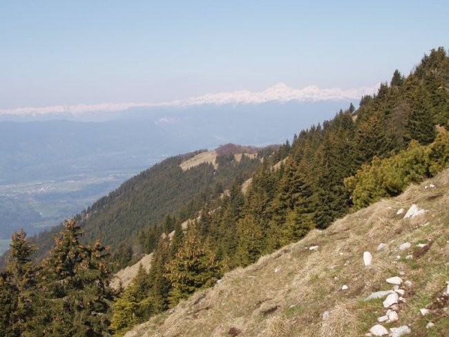 20080427 Kriška gora,Tolsti vrh,V in M Poljan - foto povečava