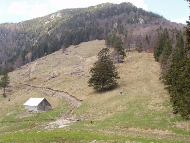 20080427 Kriška gora,Tolsti vrh,V in M Poljan - foto