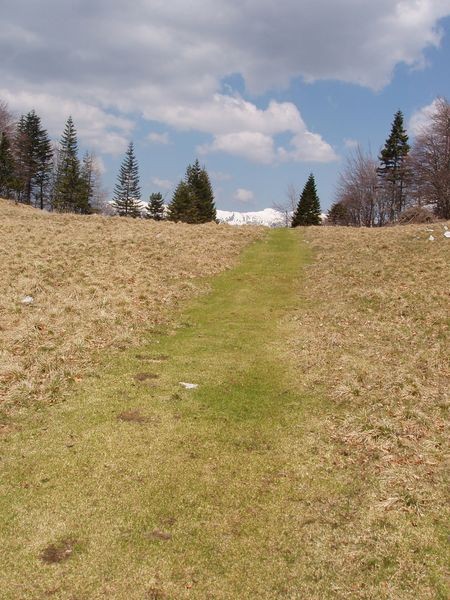 20080427 Kriška gora,Tolsti vrh,V in M Poljan - foto