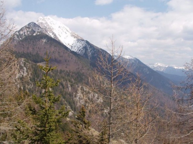 20080427 Kriška gora,Tolsti vrh,V in M Poljan - foto