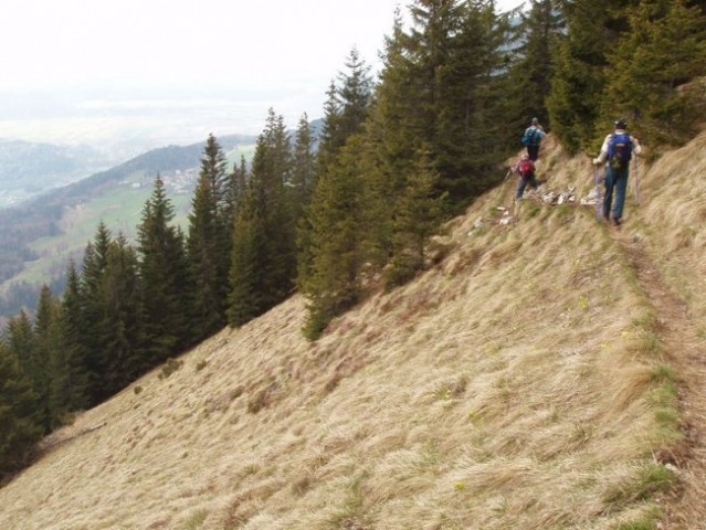 20080427 Kriška gora,Tolsti vrh,V in M Poljan - foto