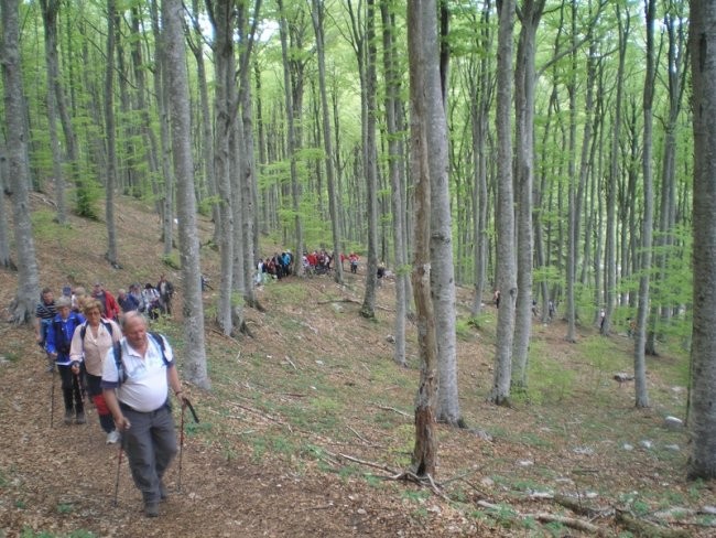 20080501 Prvomajski prazniki na Lošinju - foto povečava