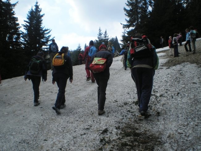 20080510 Golte - družinski pohod OŠ Cankova - foto povečava