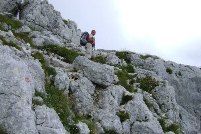 20080802 Čez Komarčo na Lepo Špičje pa na Dol - foto povečava