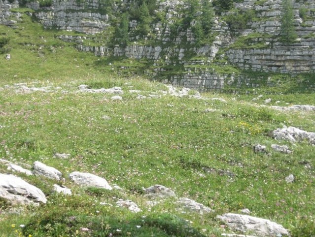 20080802 Čez Komarčo na Lepo Špičje pa na Dol - foto