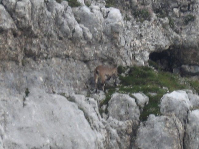 20080802 Čez Komarčo na Lepo Špičje pa na Dol - foto povečava