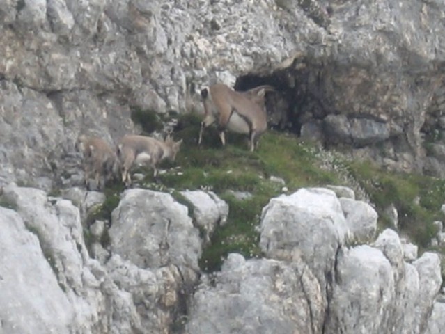 20080802 Čez Komarčo na Lepo Špičje pa na Dol - foto