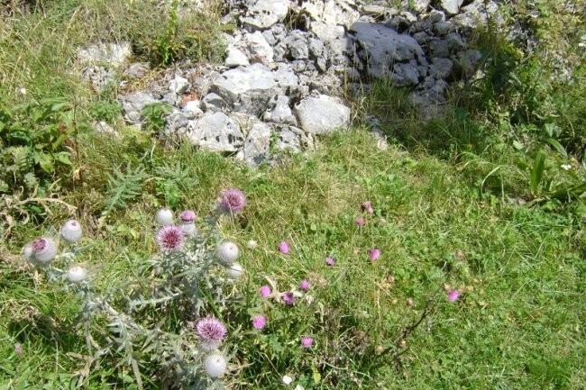 20080825 Valvazor-Stol-Završnica-Roblek-Draga - foto povečava