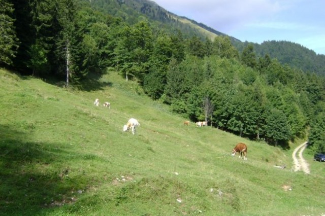 20080825 Valvazor-Stol-Završnica-Roblek-Draga - foto