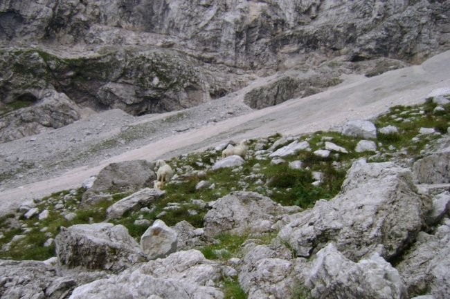 20080906 Tamar-Kotovo sedlo,Bašelj-Kališče - foto povečava