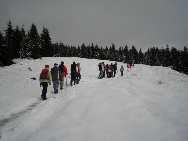 20081005 Ribniško Pohorje-Kope - foto povečava