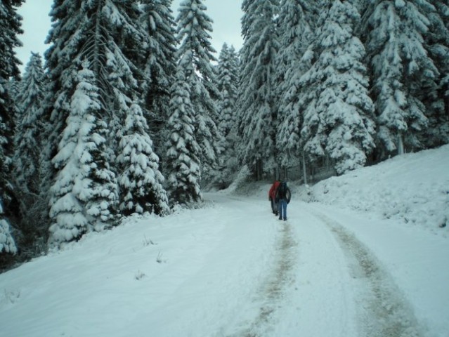 20081005 Ribniško Pohorje-Kope - foto