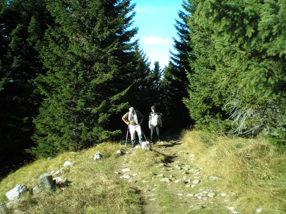 20081021 Uršlja gora - foto povečava