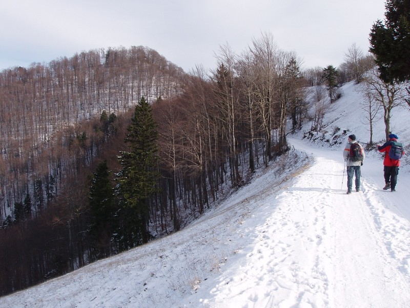 20081128 Paški Špik, Mrzlica, Kal in vrnitev  - foto povečava