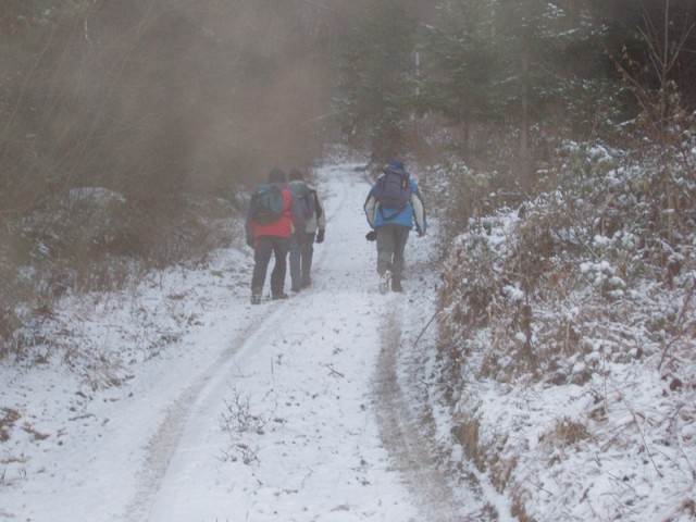 03 Pod do Gašperjeve koče.