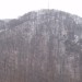 11 Planina