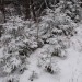 22 Imajo srečo, da so tako odročni. 