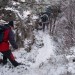 31 To ni za nas starejše. 