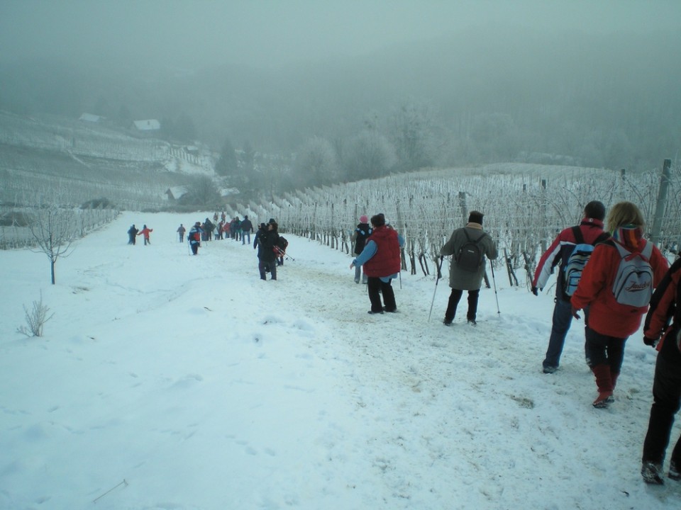 20090118 Vincekov pohod - medžimurski hribi - foto povečava