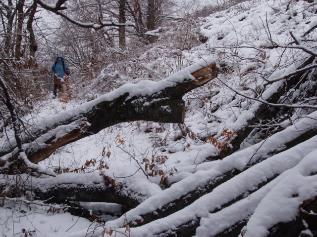 20090125 Vransko-Čreta-Tolsti vrh-Sv.Jošt, Še - foto