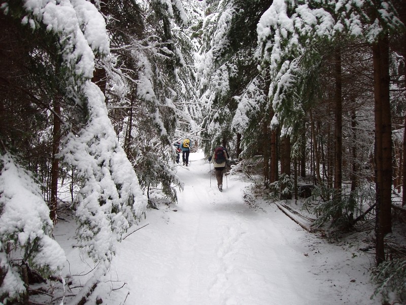 20090125 Vransko-Čreta-Tolsti vrh-Sv.Jošt, Še - foto povečava