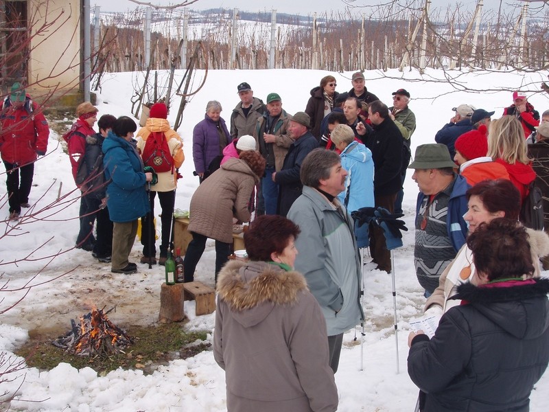 20090131 Blažev pohod-Bogojina, rezanje trsa - foto povečava