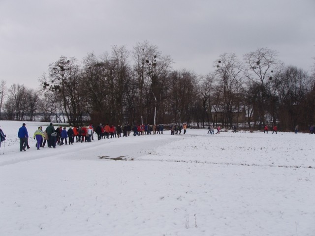 20090131 Blažev pohod-Bogojina, rezanje trsa - foto