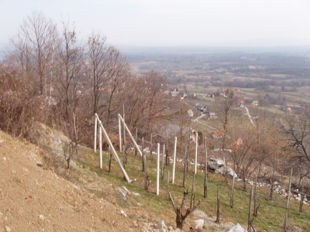 20090301 Trdinov vrh,Mirna gora,Koča pri Jele - foto