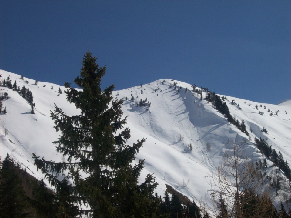 20090314 Turna smuka - Dovška Baba - foto povečava