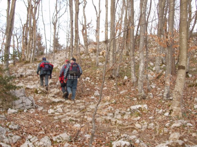 20090222 Pečna reber,Vel.Javornik, Slivnica,M - foto