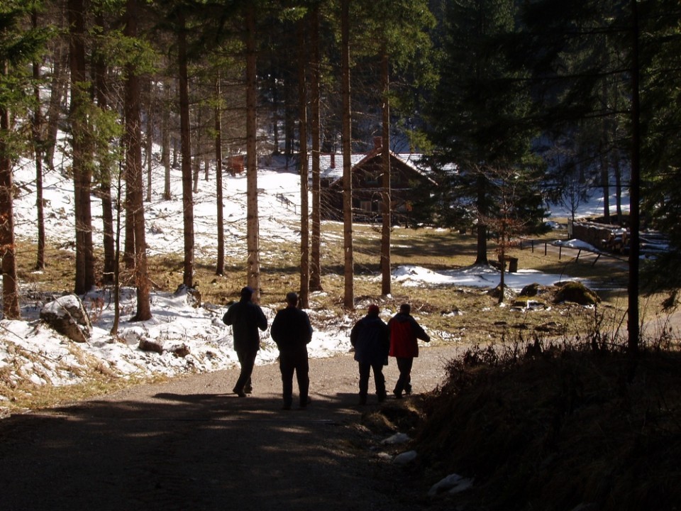 20090222 Pečna reber,Vel.Javornik, Slivnica,M - foto povečava