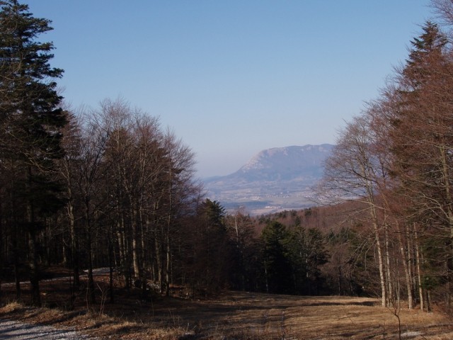 20090222 Pečna reber,Vel.Javornik, Slivnica,M - foto