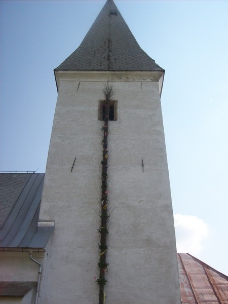 20090413 Košenjak - foto povečava