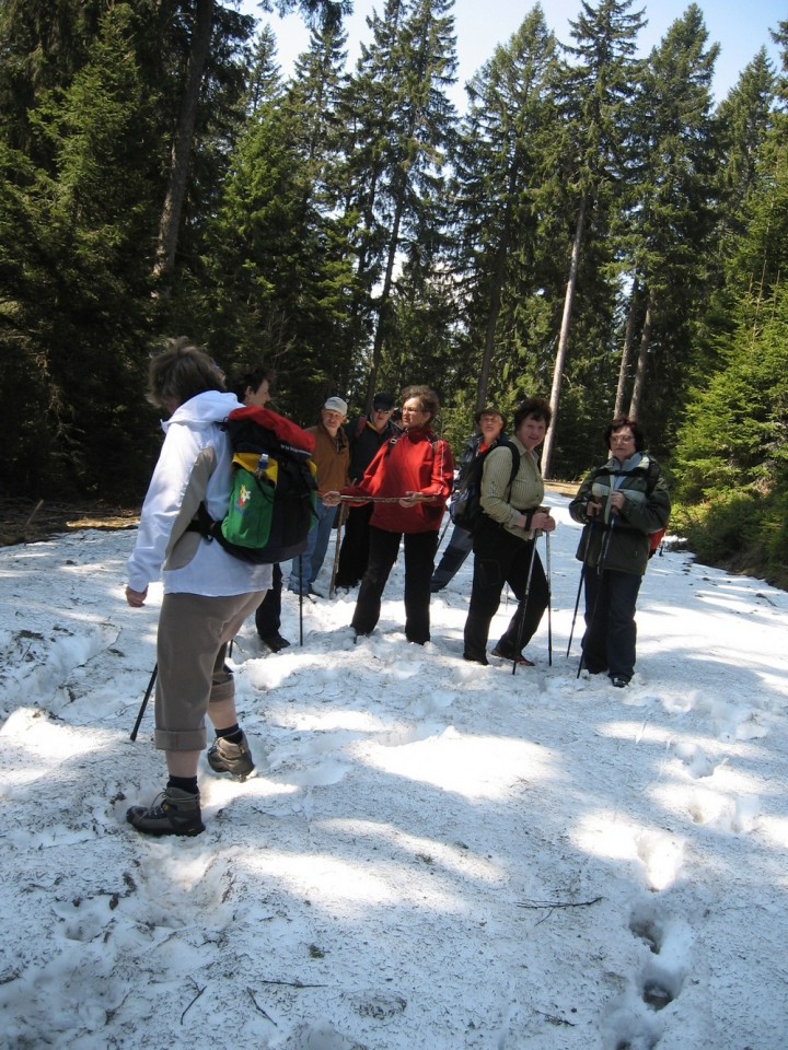 20090413 Košenjak - foto povečava