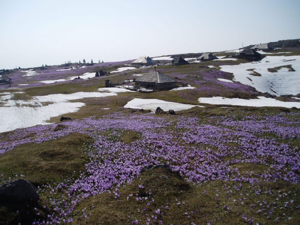 20090415 Velika planina - foto povečava