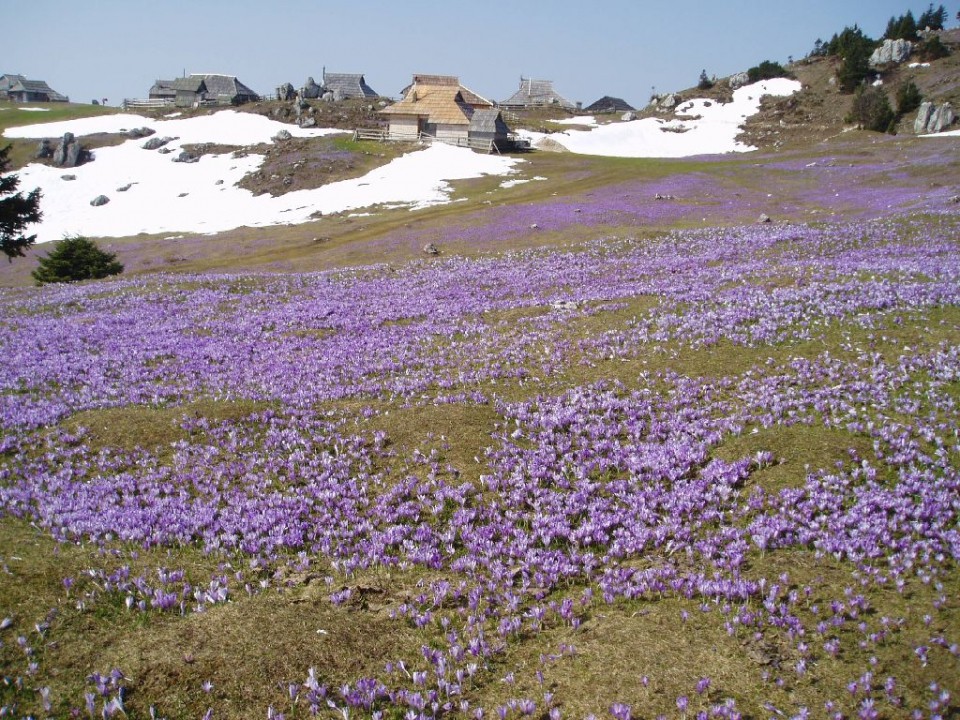 20090415 Velika planina - foto povečava