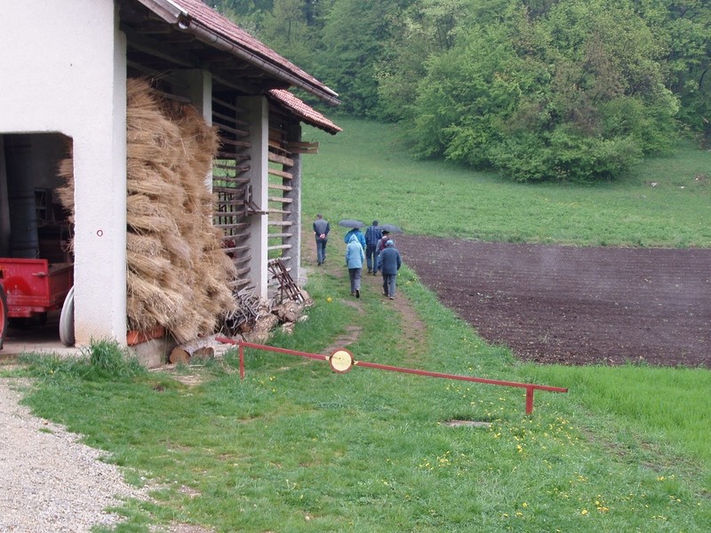 20090419 Lisca, Ješovec,Bohor-Vel. Javornik,R - foto povečava