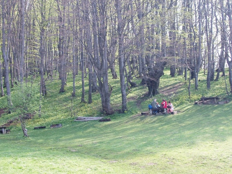 Ob koči si najde vsak svoj kotiček. 