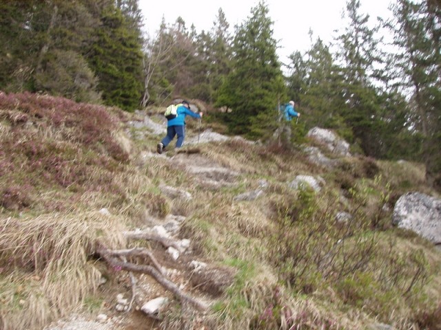 20090503 Velika planina v cvetju - foto