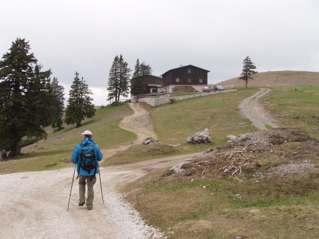 20090503 Velika planina v cvetju - foto