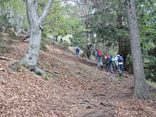 20090510 Ljubelj,Zelenica-koča na Ljubelju,Ve - foto