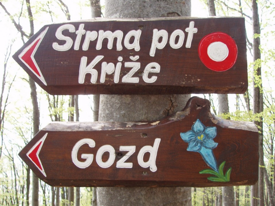 20090510 Ljubelj,Zelenica-koča na Ljubelju,Ve - foto povečava