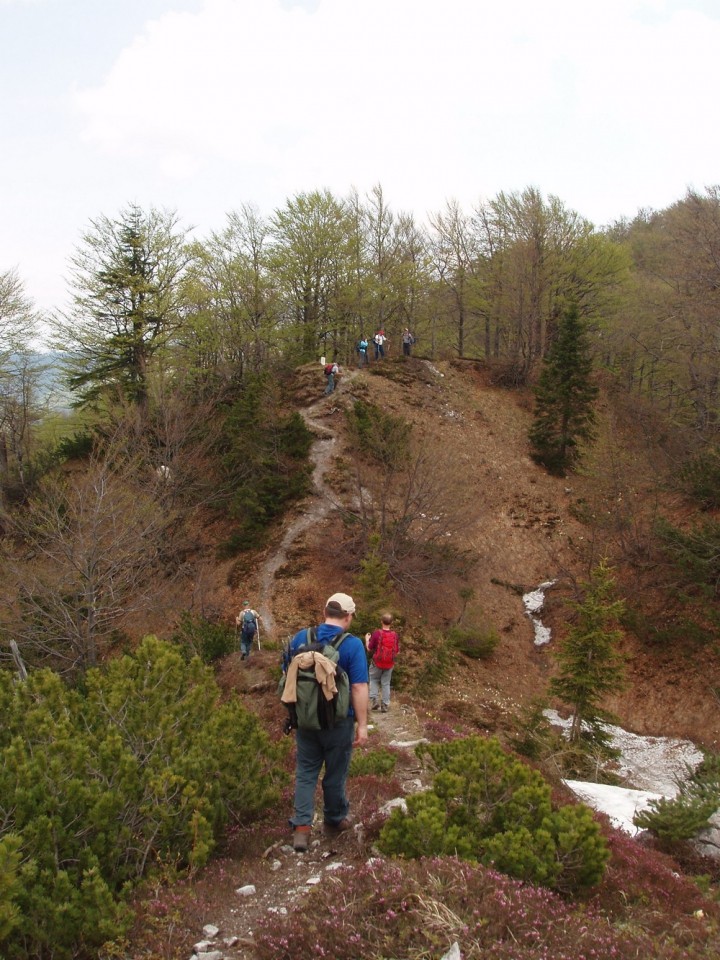 20090510 Ljubelj,Zelenica-koča na Ljubelju,Ve - foto povečava