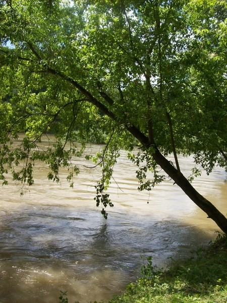 20090531 Spust po Muri - foto povečava