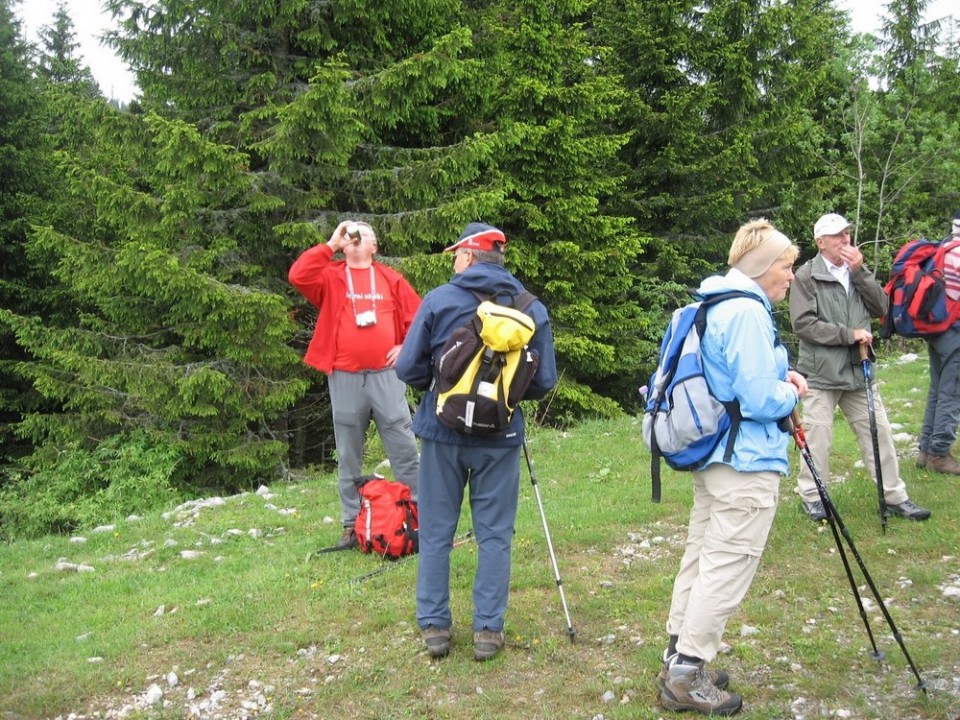 20090606 Dan SLO planincev - foto povečava