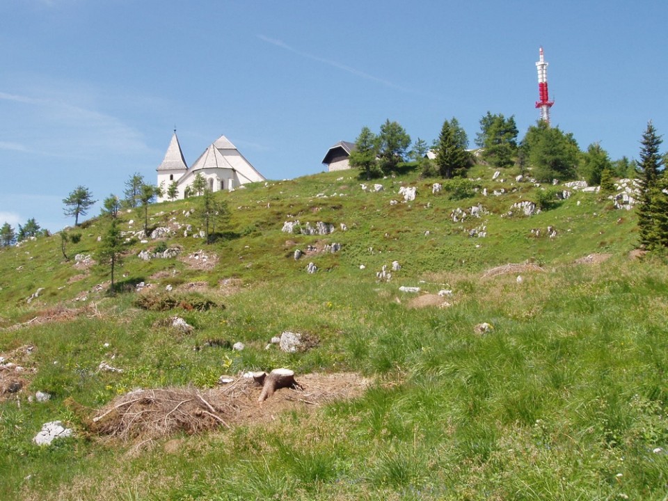 20090618 Smrekovec Sleme Križan Uršlja gora   - foto povečava