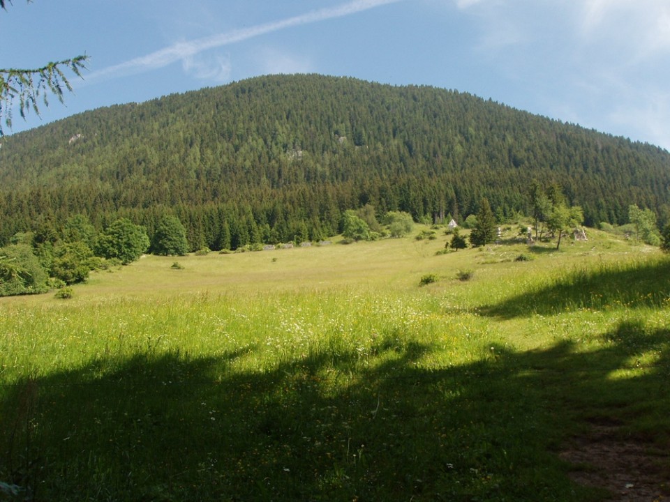 20090618 Smrekovec Sleme Križan Uršlja gora   - foto povečava