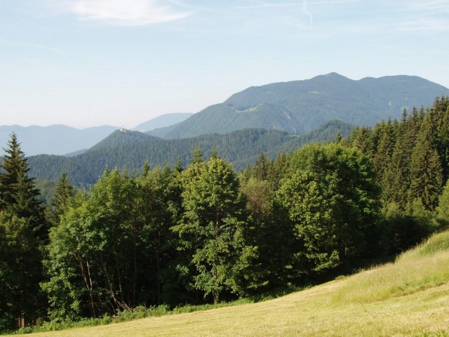 20090618 Smrekovec Sleme Križan Uršlja gora   - foto