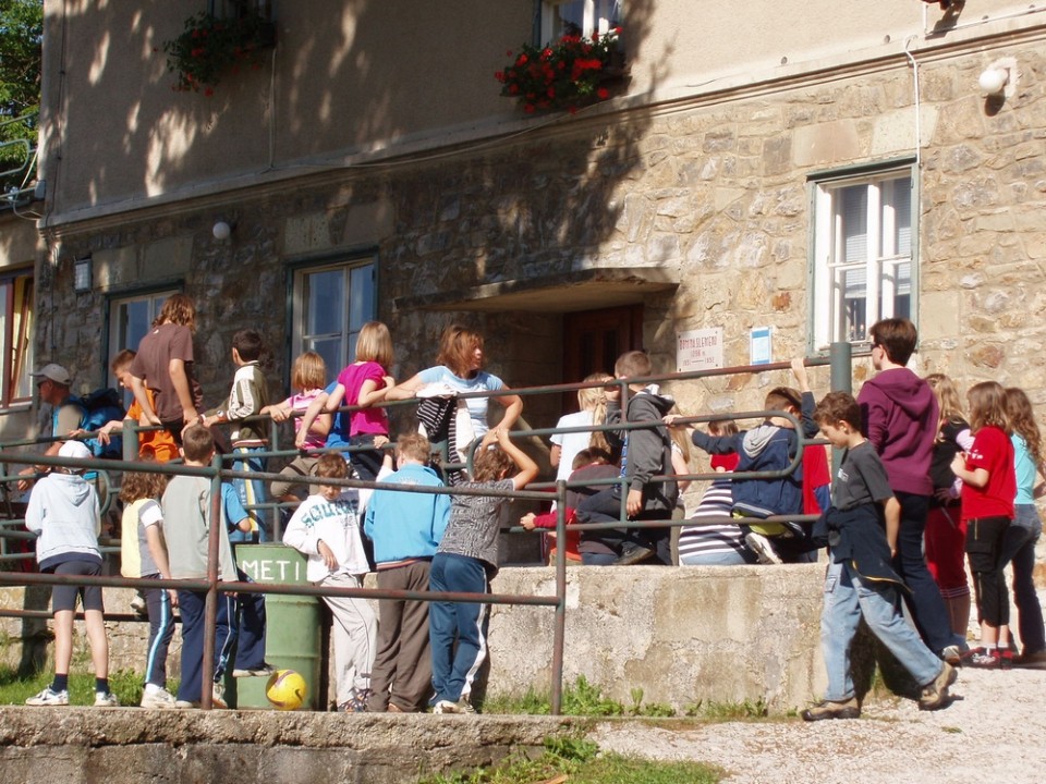 20090618 Smrekovec Sleme Križan Uršlja gora   - foto povečava