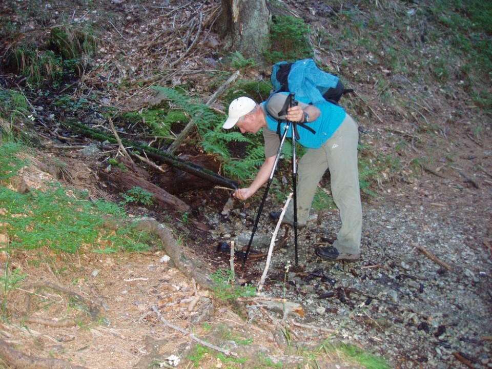 20090618 Smrekovec Sleme Križan Uršlja gora   - foto povečava